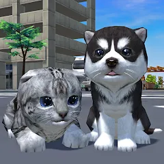 Cute Pocket Cat And Puppy 3D (Кьют Покет Кэт Энд Паппи 3Д)