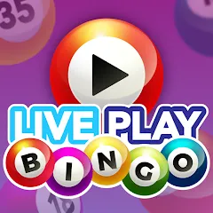 Live Play Bingo: Real Hosts (Лайв Плей Бинго)