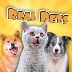 Скачать CatDog Games: Pet Simulator (Риал Петс бай Фруви) [Взлом/МОД Бесконечные деньги] последняя версия 1.7.4 (бесплатно на 5Play) для Андроид