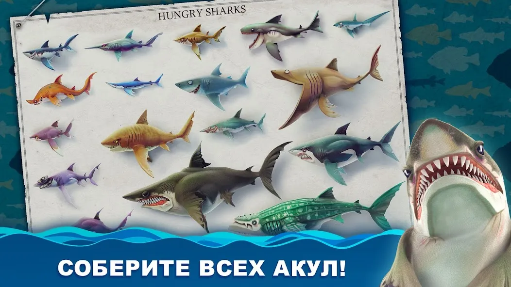 Скачать Hungry Shark World (Хангри Шарк Ворлд) [Взлом/МОД Все открыто] последняя версия 0.7.7 (бесплатно на 4PDA) для Андроид