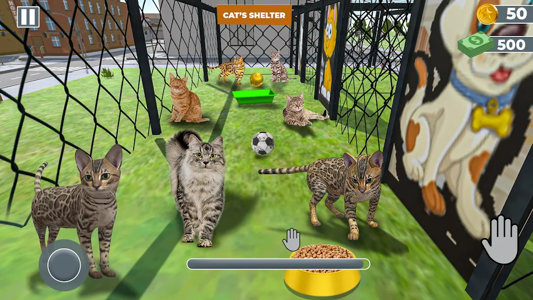 Скачать игра приют для животных [Взлом/МОД Unlocked] последняя версия 2.8.9 (бесплатно на 4PDA) для Андроид