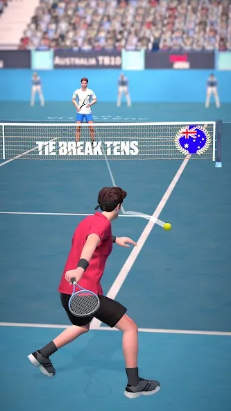 Скачать Tennis Arena (Теннисная арена) [Взлом/МОД Меню] последняя версия 2.4.2 (бесплатно на 4PDA) для Андроид